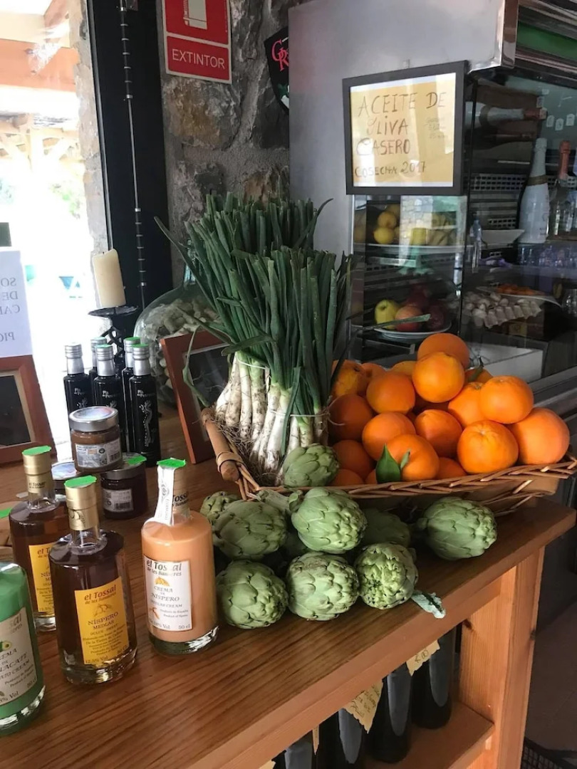 Camping Fonts de l'Algar