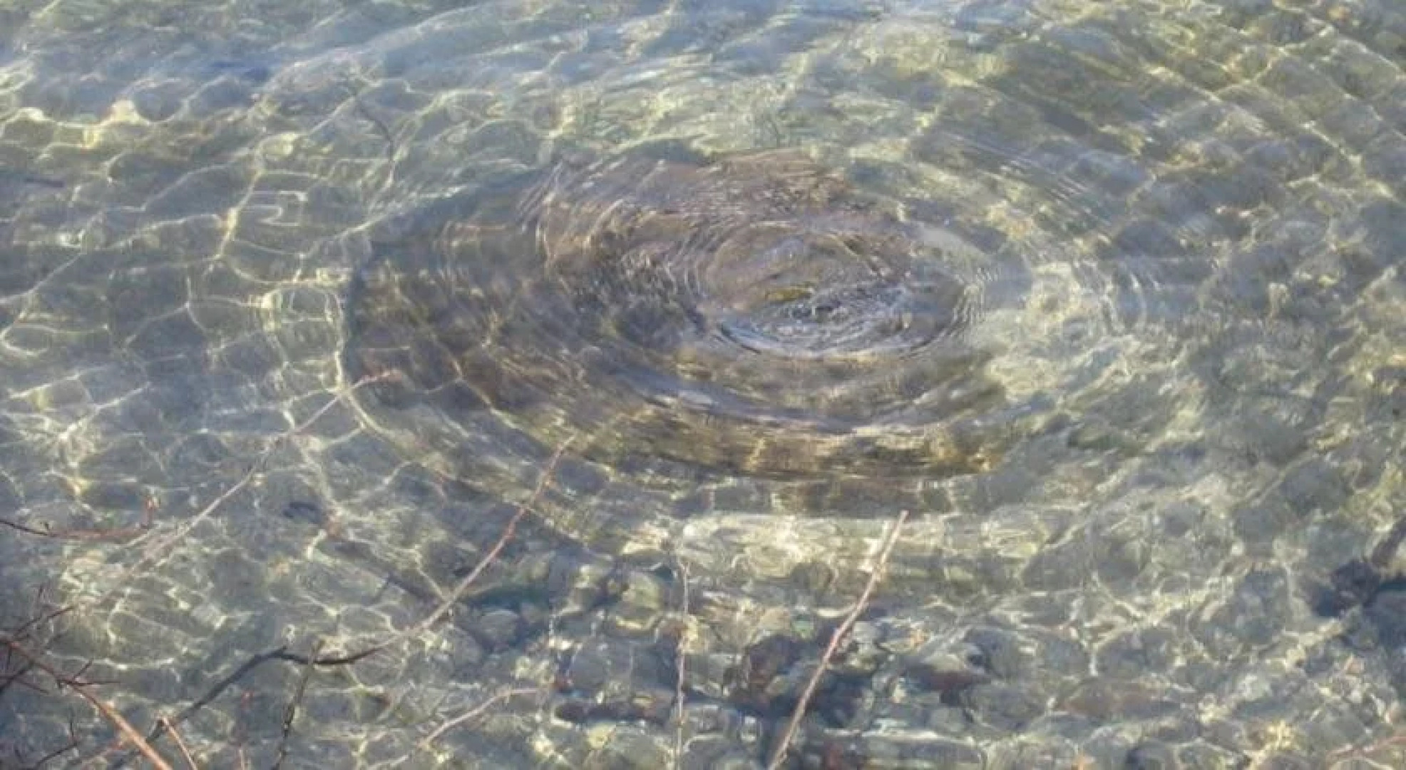 Bauernhof Unterhöfner