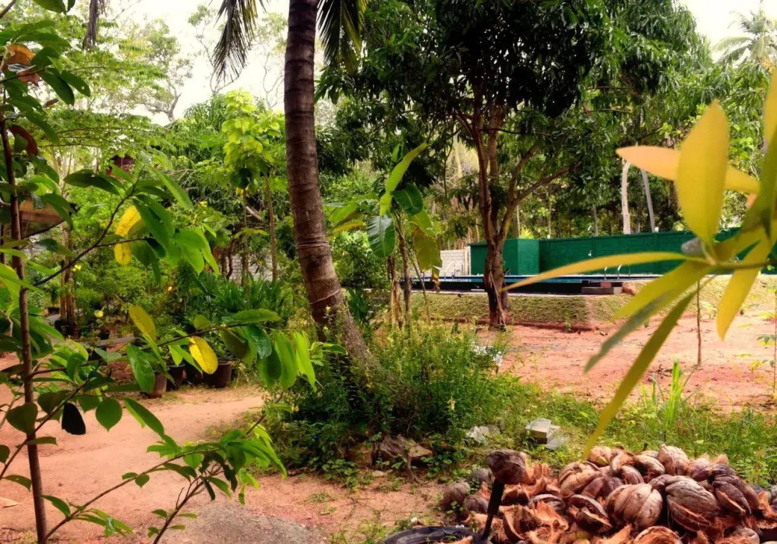 Sun and Green Eco Lodge