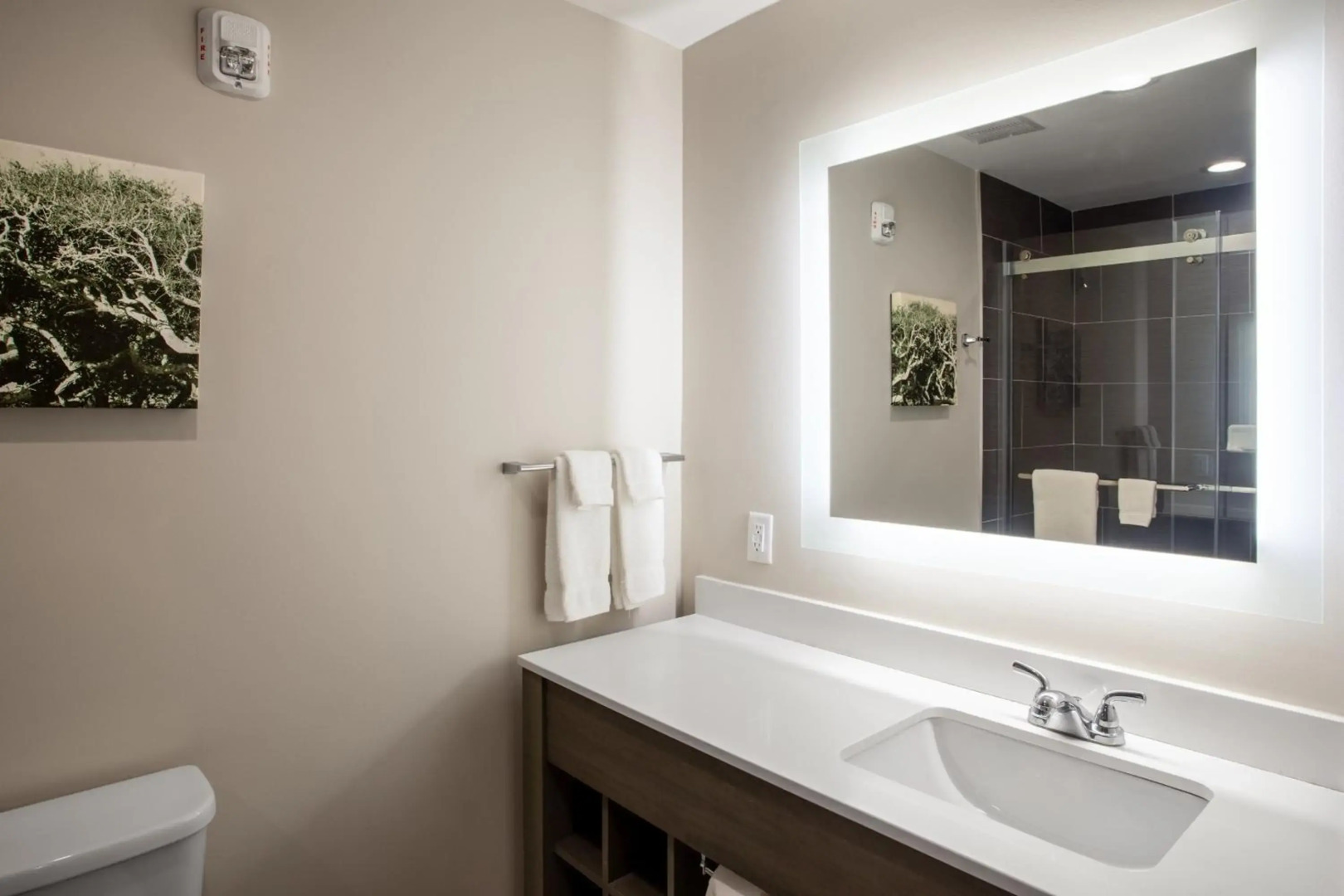 voco St. Augustine Historic Area by IHG