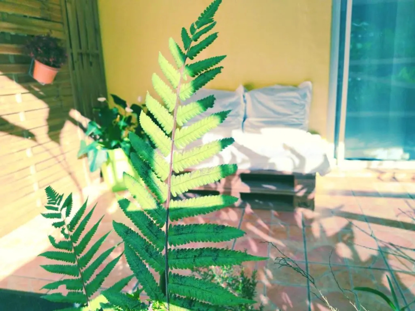 Ö Coeur des montagnes SALAZIE à 15min d'hellbourg