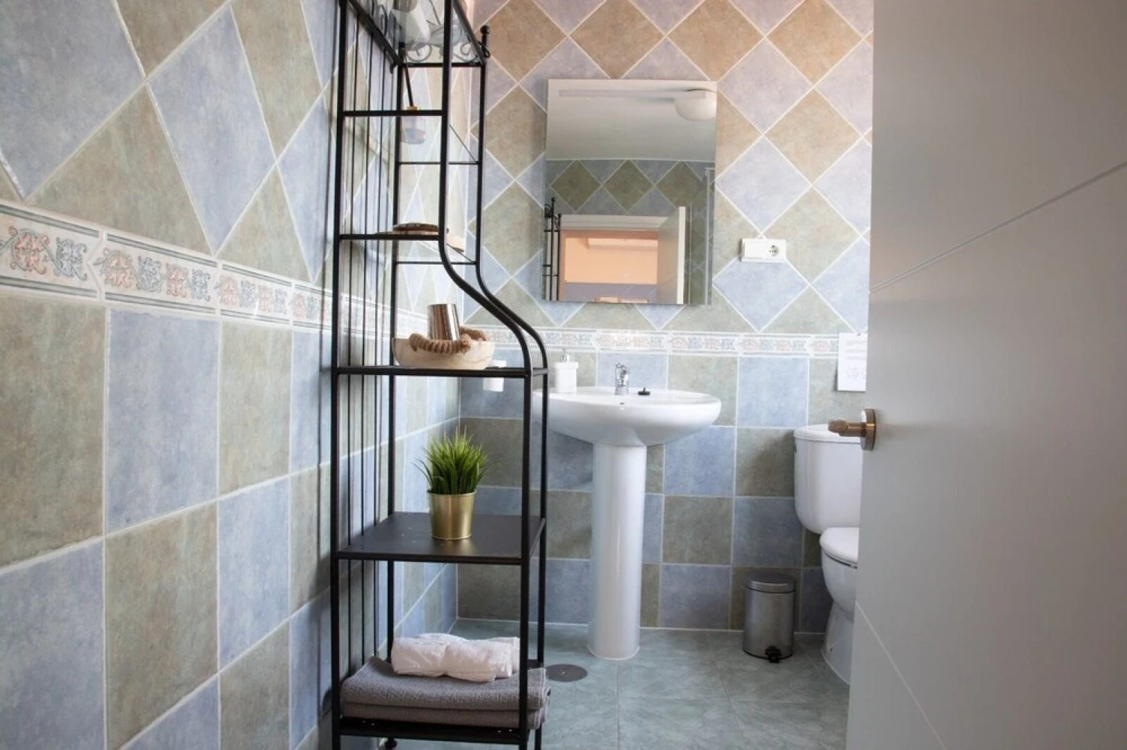 Finca Sueño de Vida