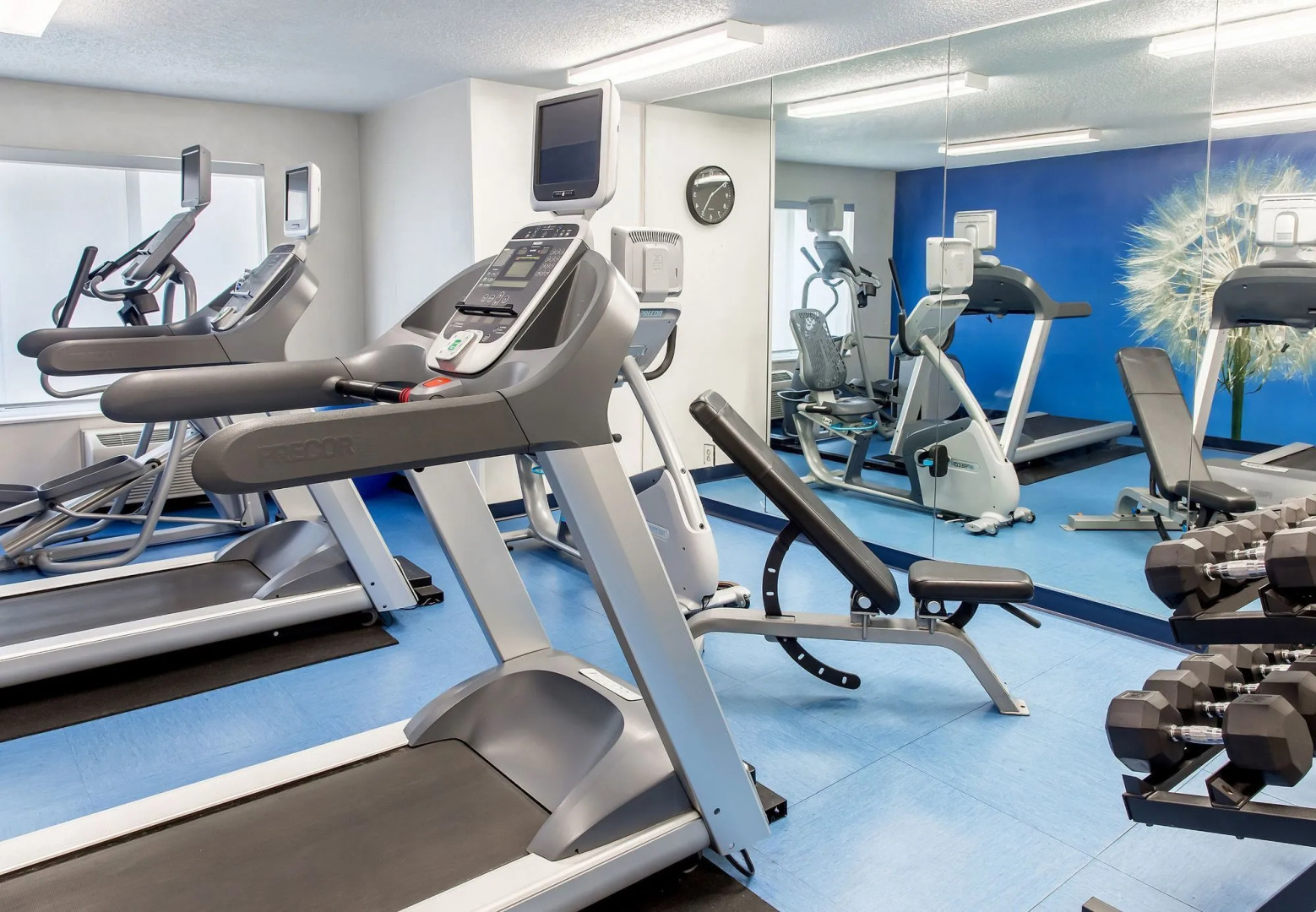 Springhill Suites Memphis East / Galleria