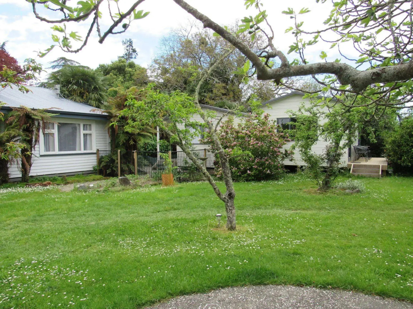 The White Elephant Accommodation - Hostel