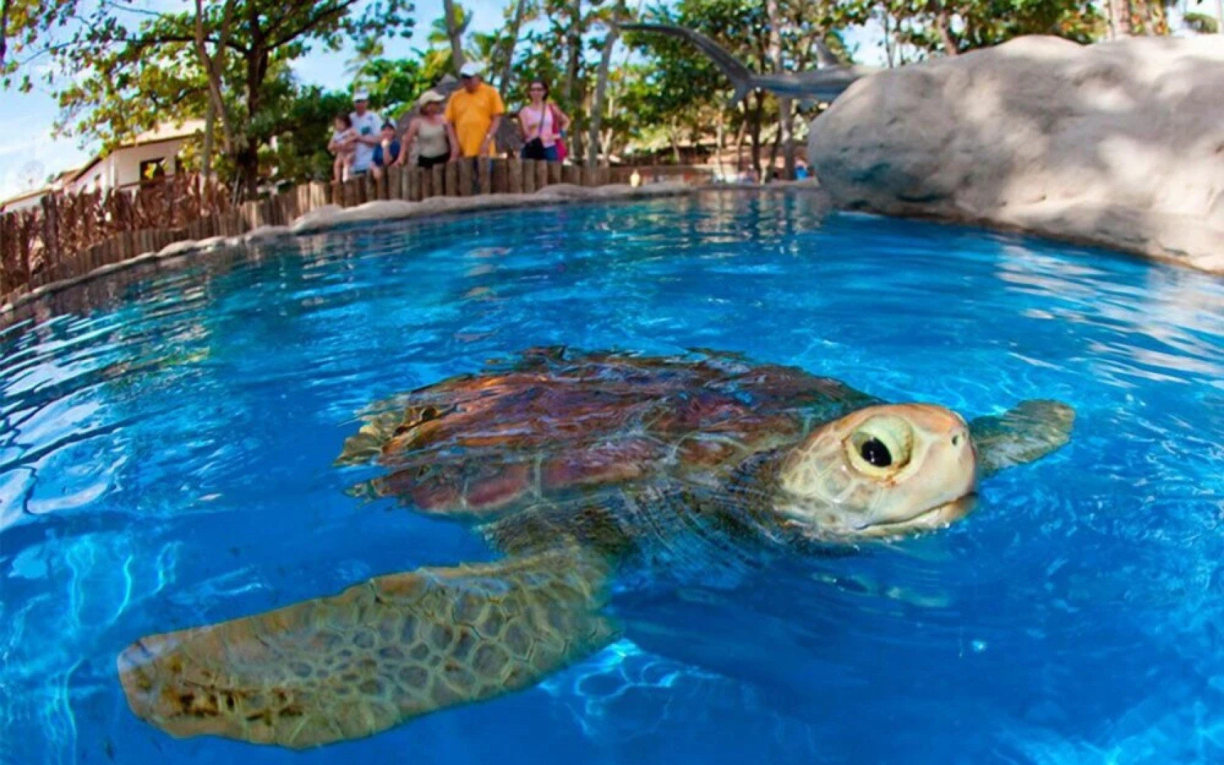 Apartamentos do Castelo