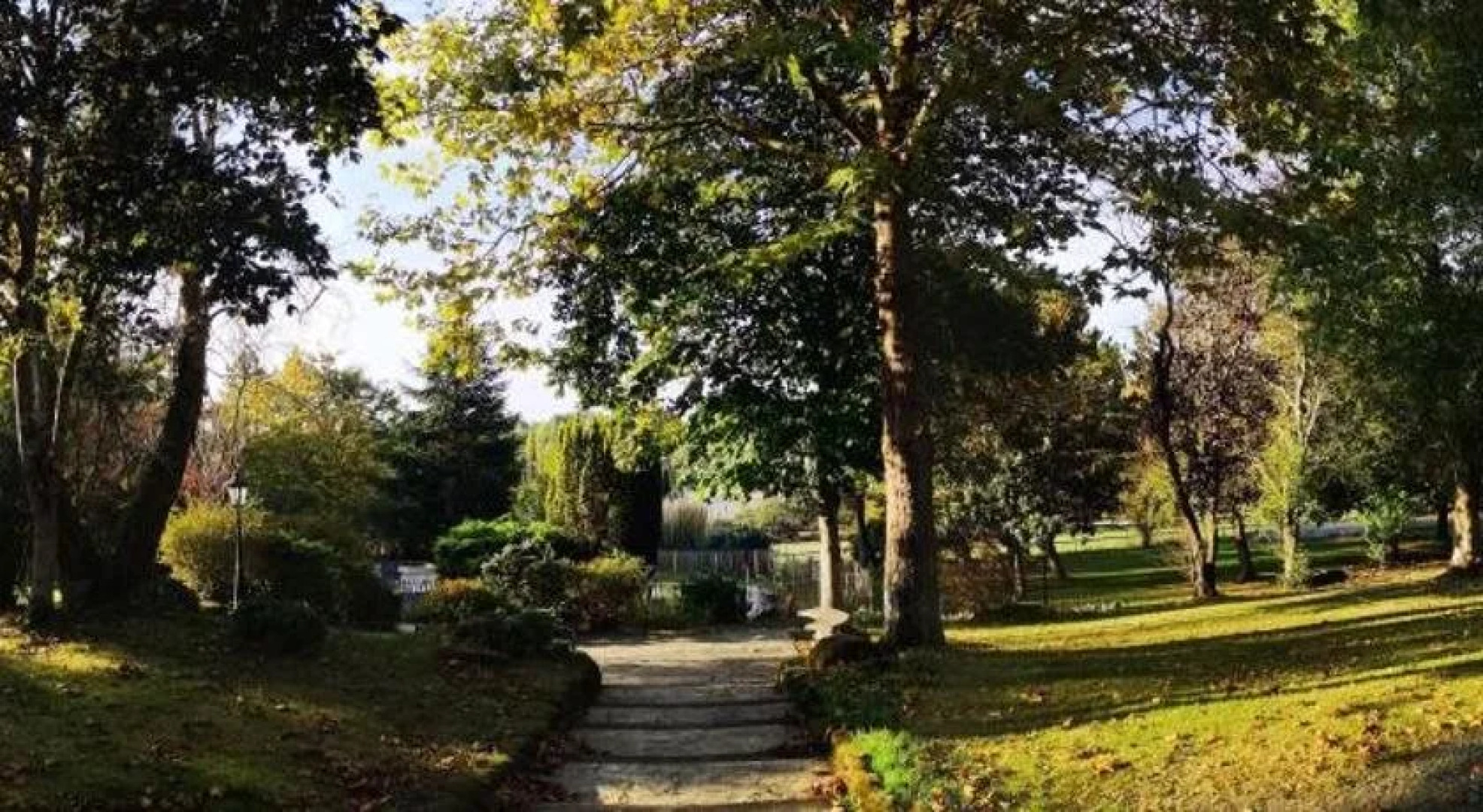 Les Ô de la laurence