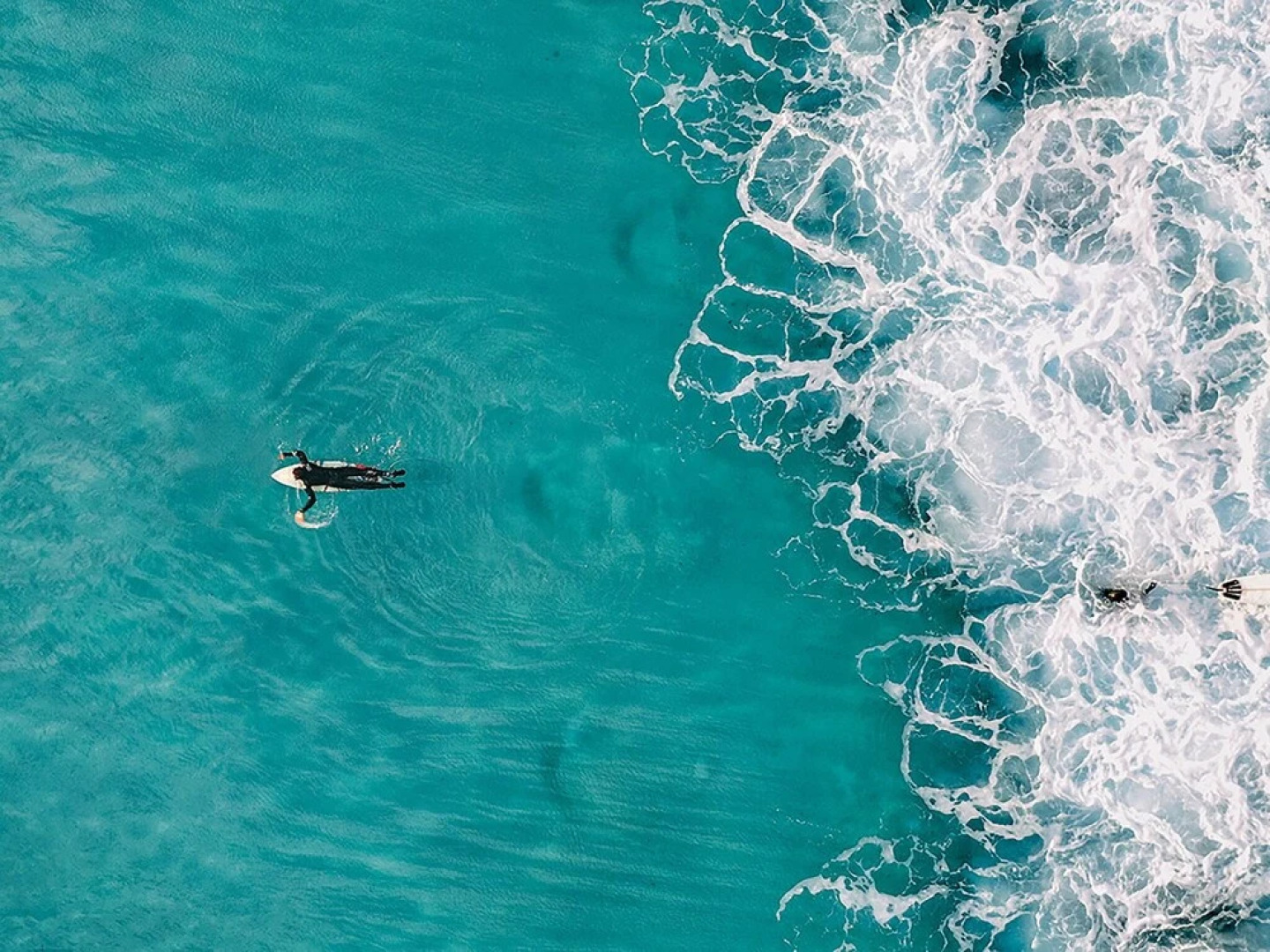Cozy Cottage in Aquitaine France Near Mimizan Beaches