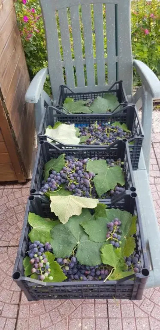 Valle di Comino - Terrazza Panoramica -