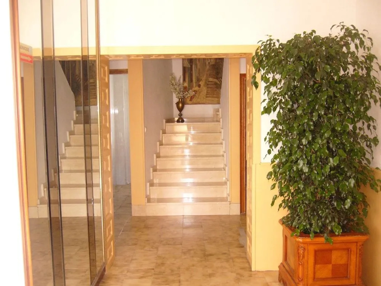 El Artista de Paraíso