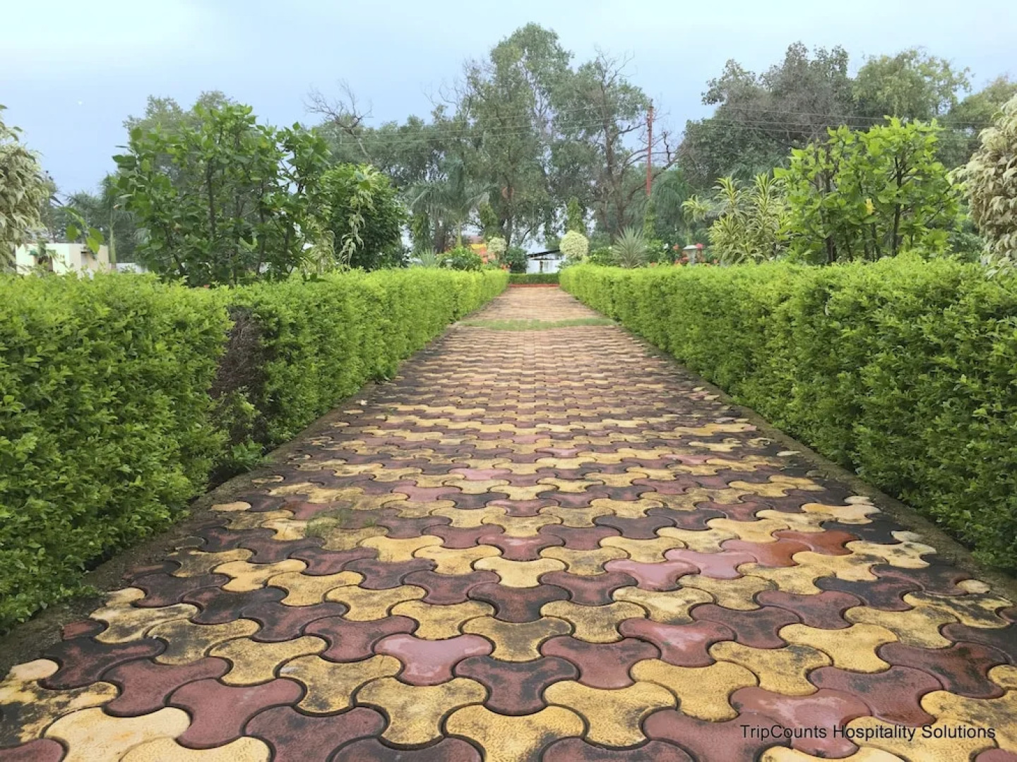 Hotel Aryan Inn Lalitpur