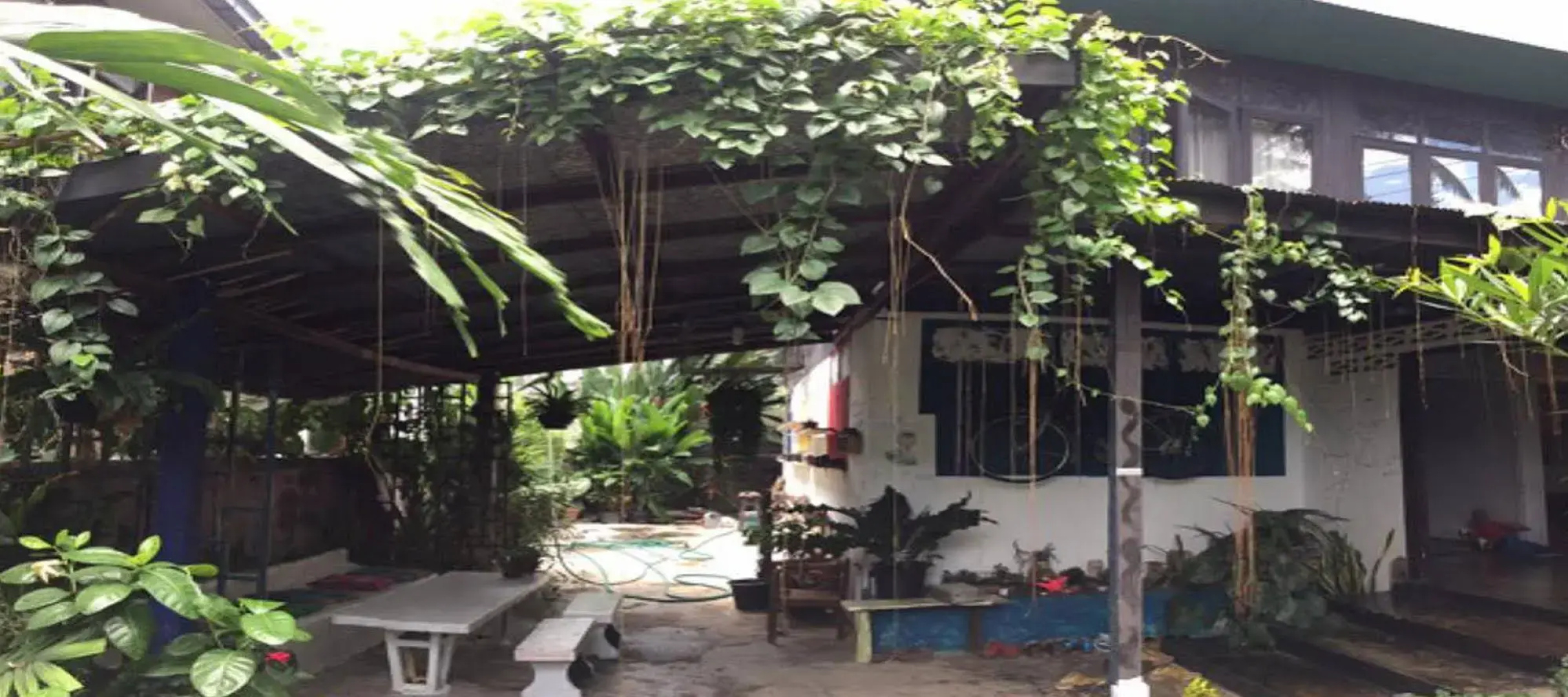 Sudrit Arts Gallery
