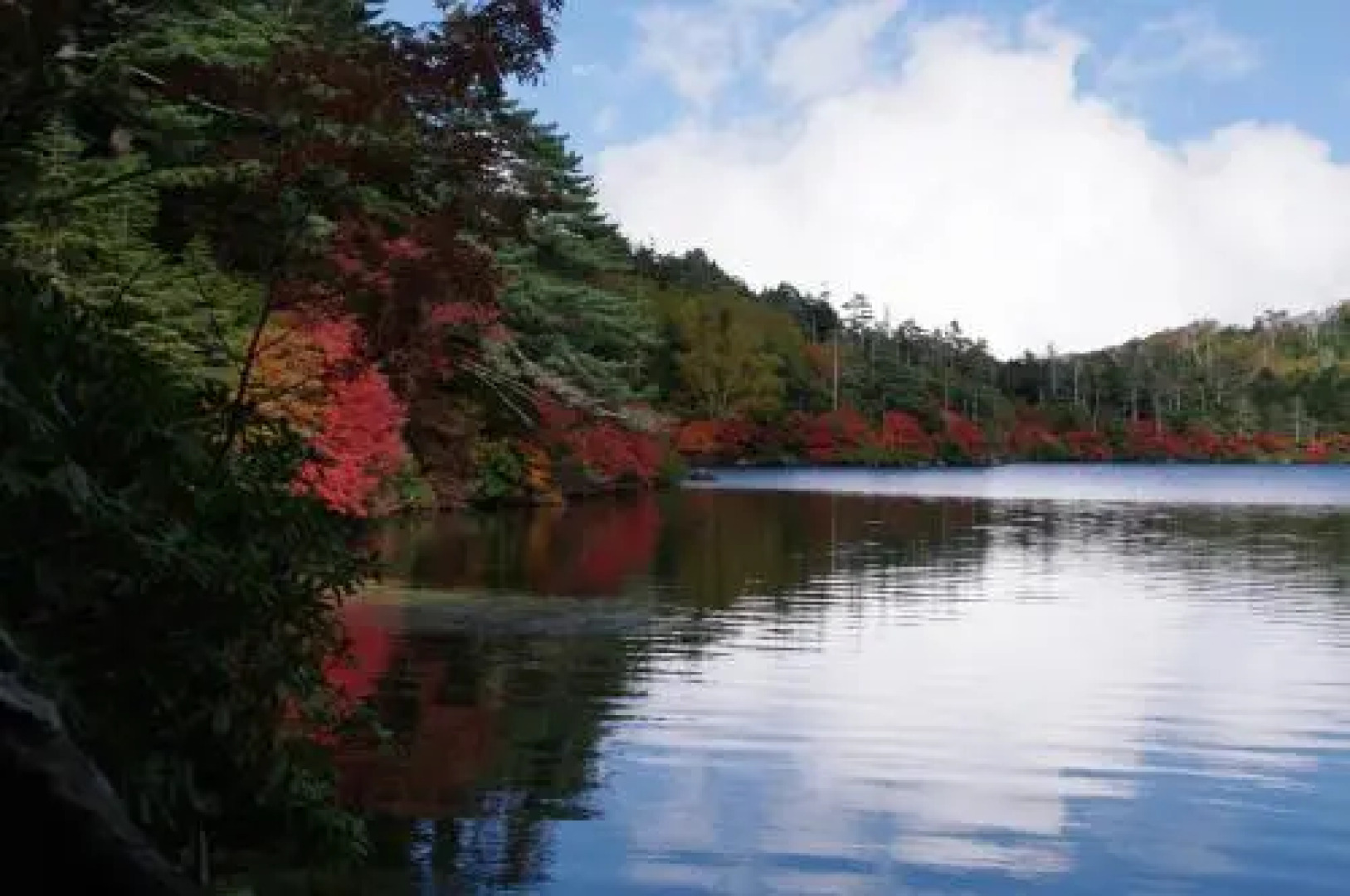 Petit Hotel of Log House Tombouctou