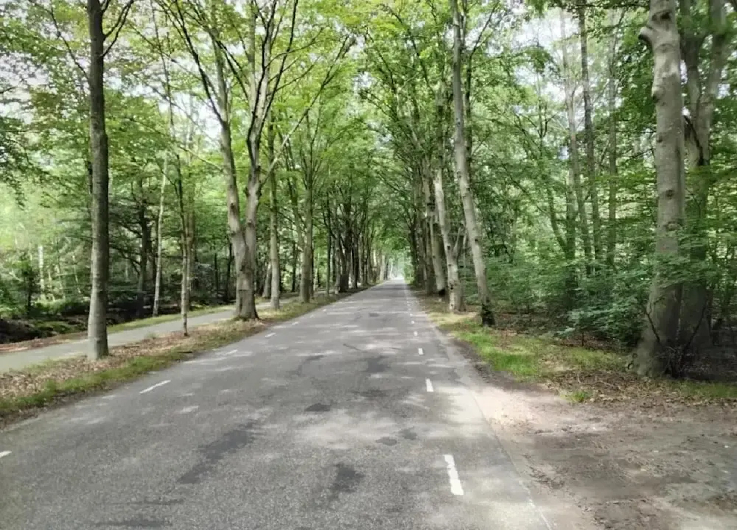 Spacious Home with Garden near Langweerder Wielen