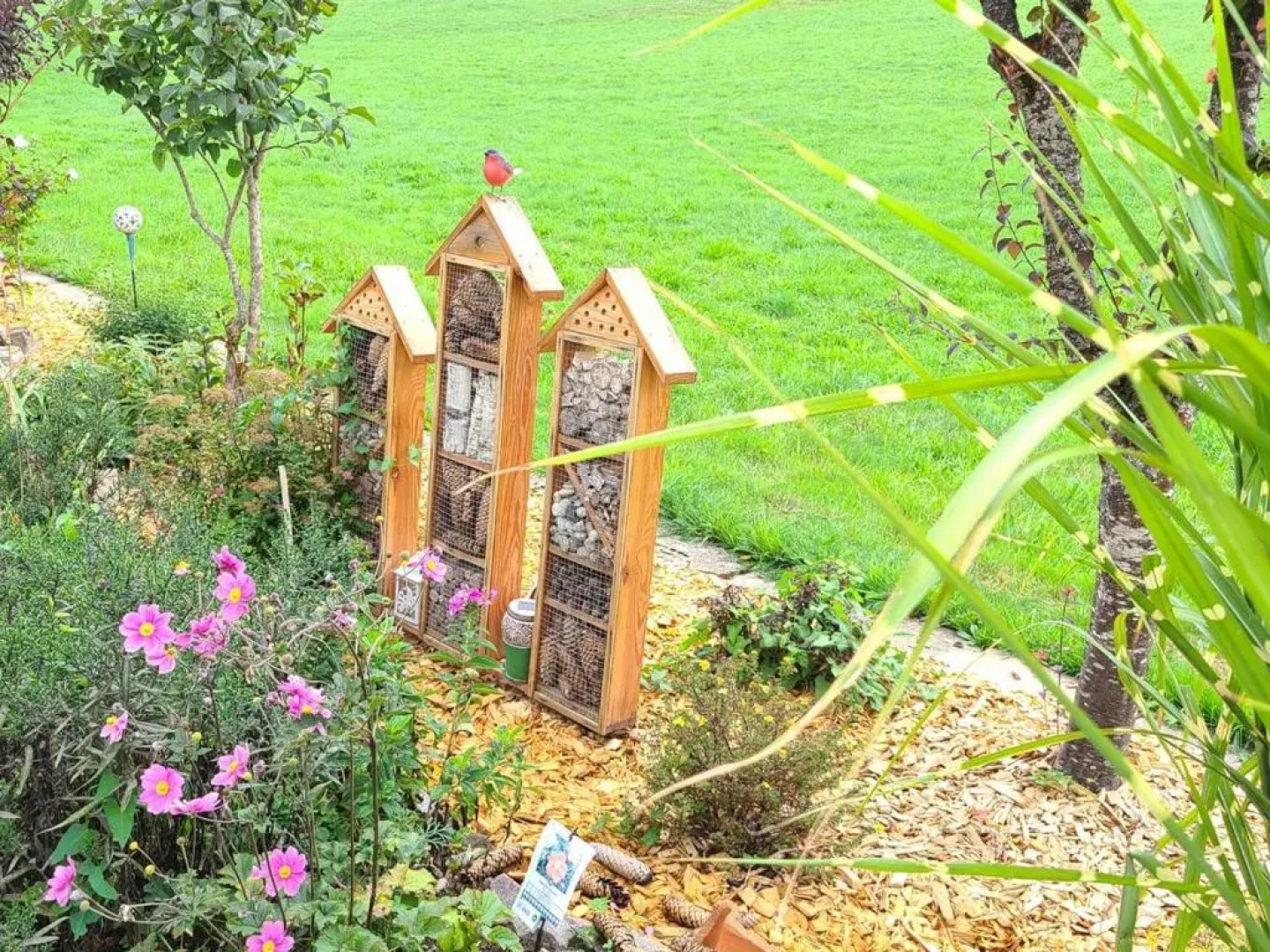 Gîte Le Val-d'Ajol, 2 pièces, 4 personnes - FR-1-589-194