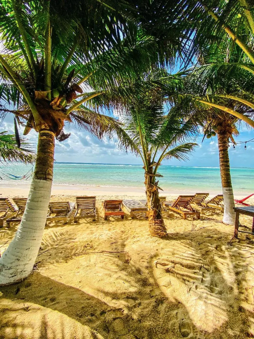 Eco Cabañas BlueKay