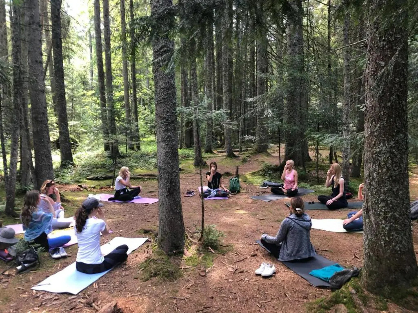 Garni Hotel Vila Drina