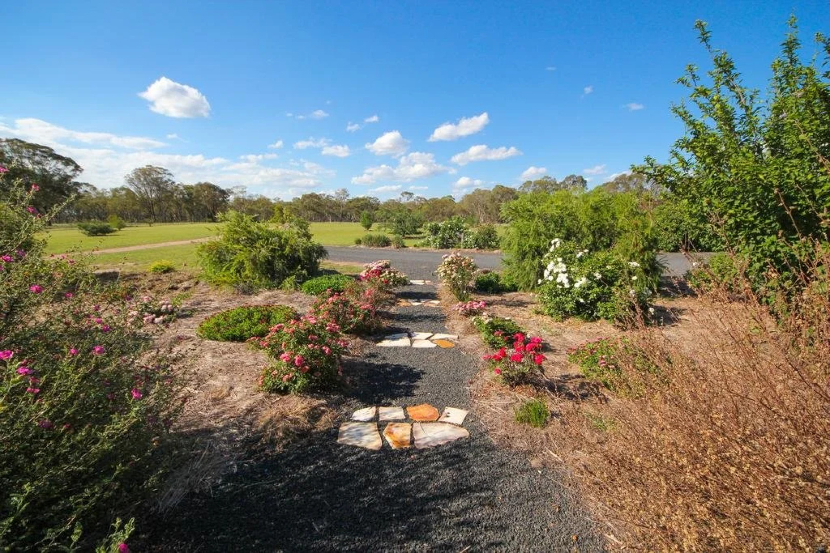 Spring Creek Cottage B&B