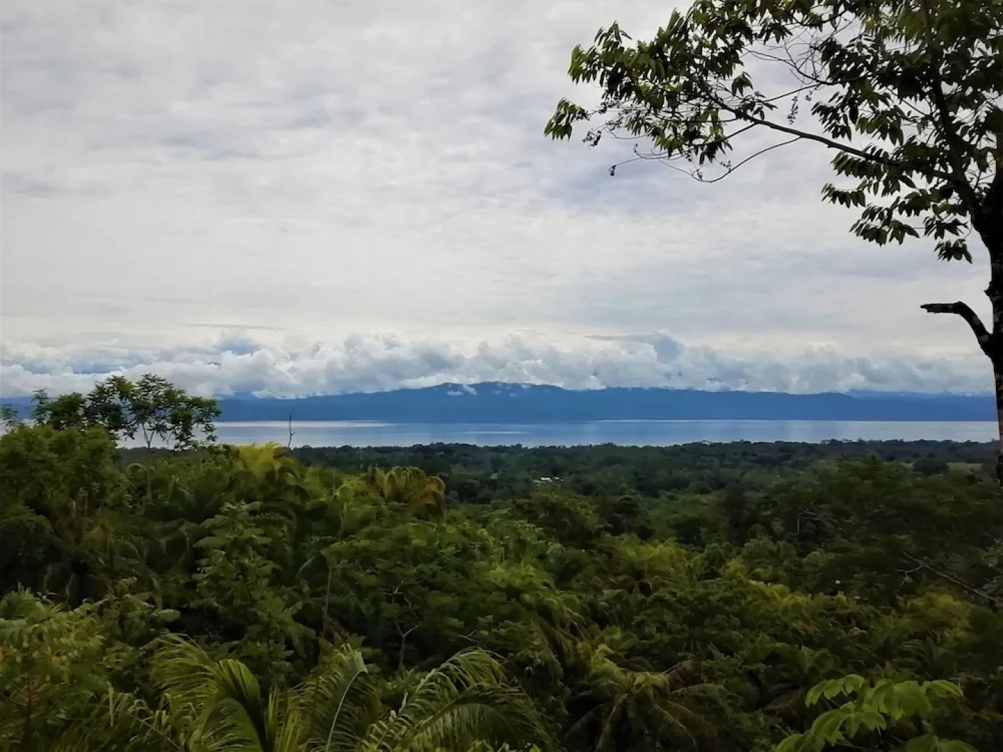Corcovado Private Villas