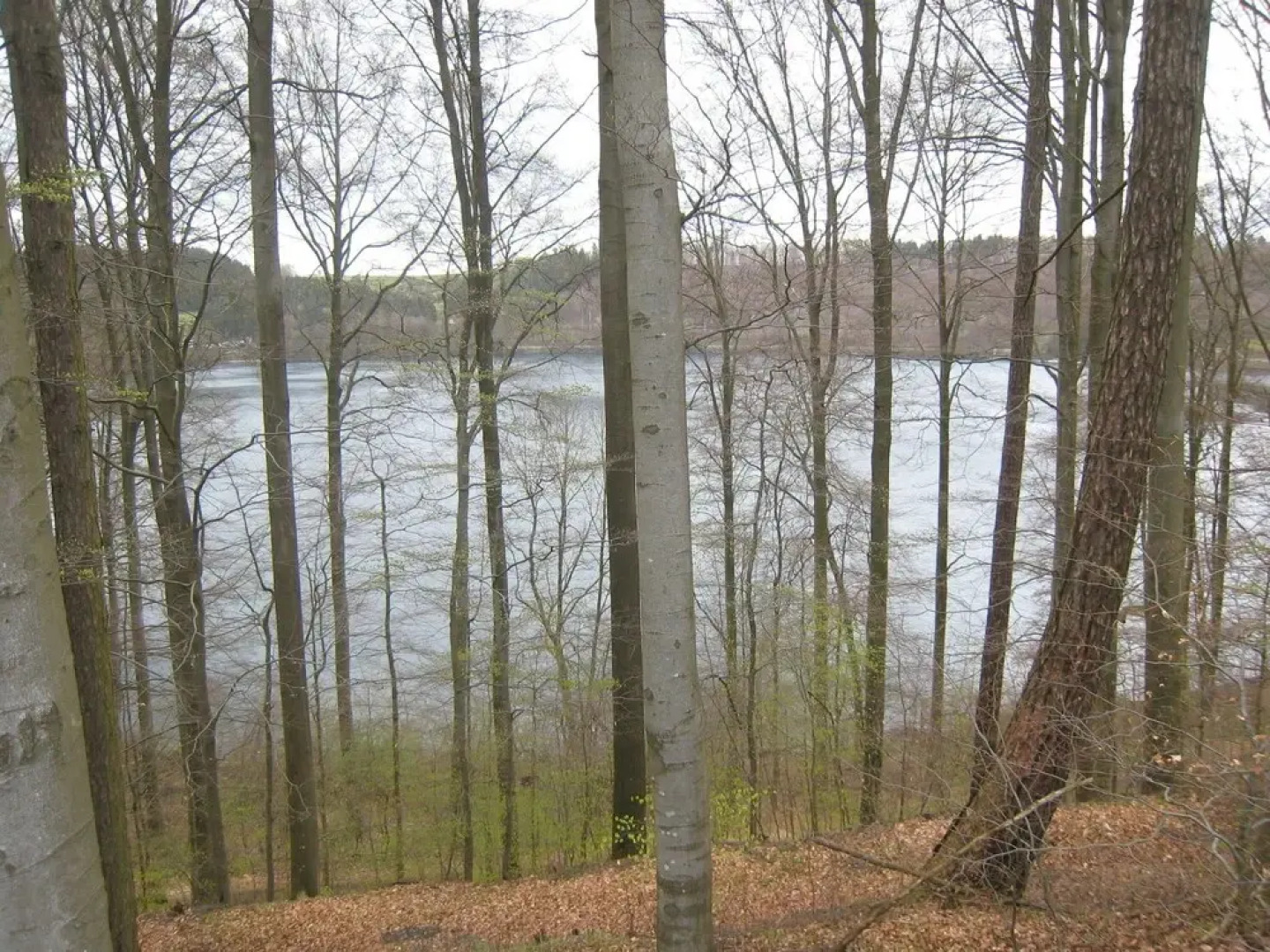 Spacious Apartment in Immerath With Sauna