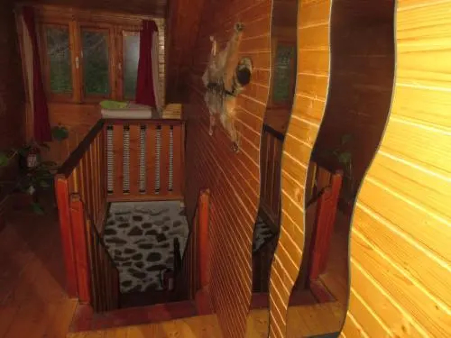 Pensiunea Mada Paradiso