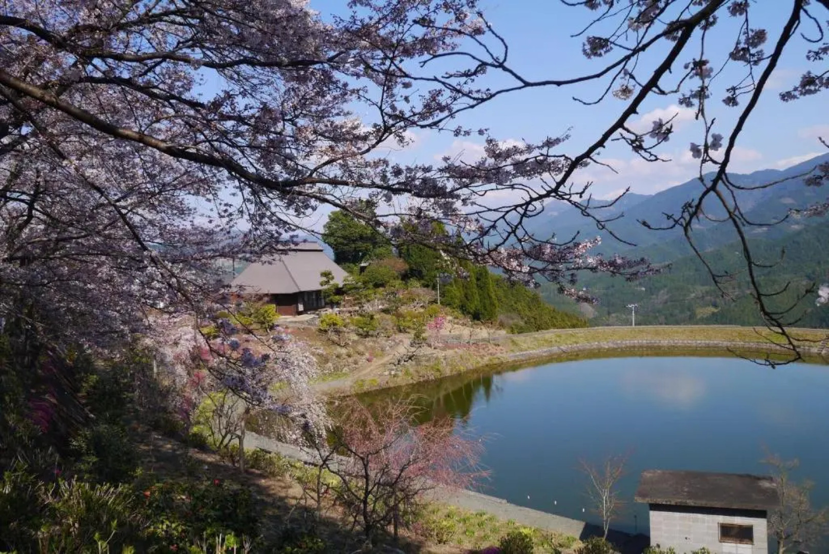 The hostel & Tatami bar UCHIKOBARE
