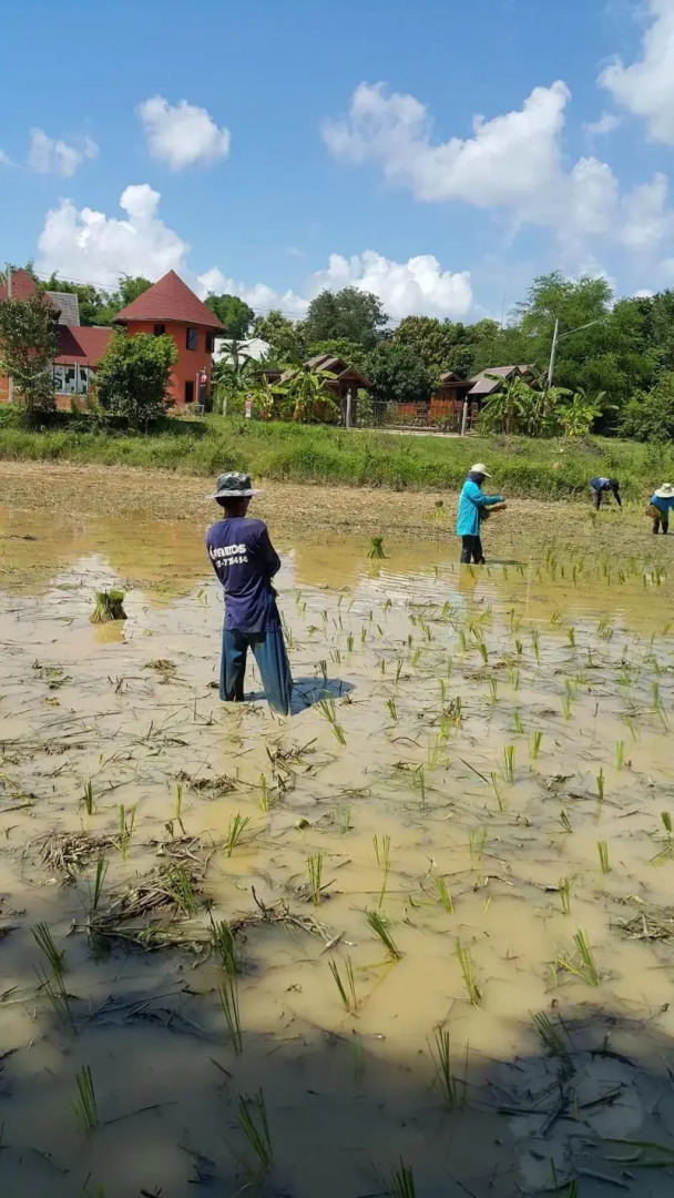 Khemmarat Baandin Resort