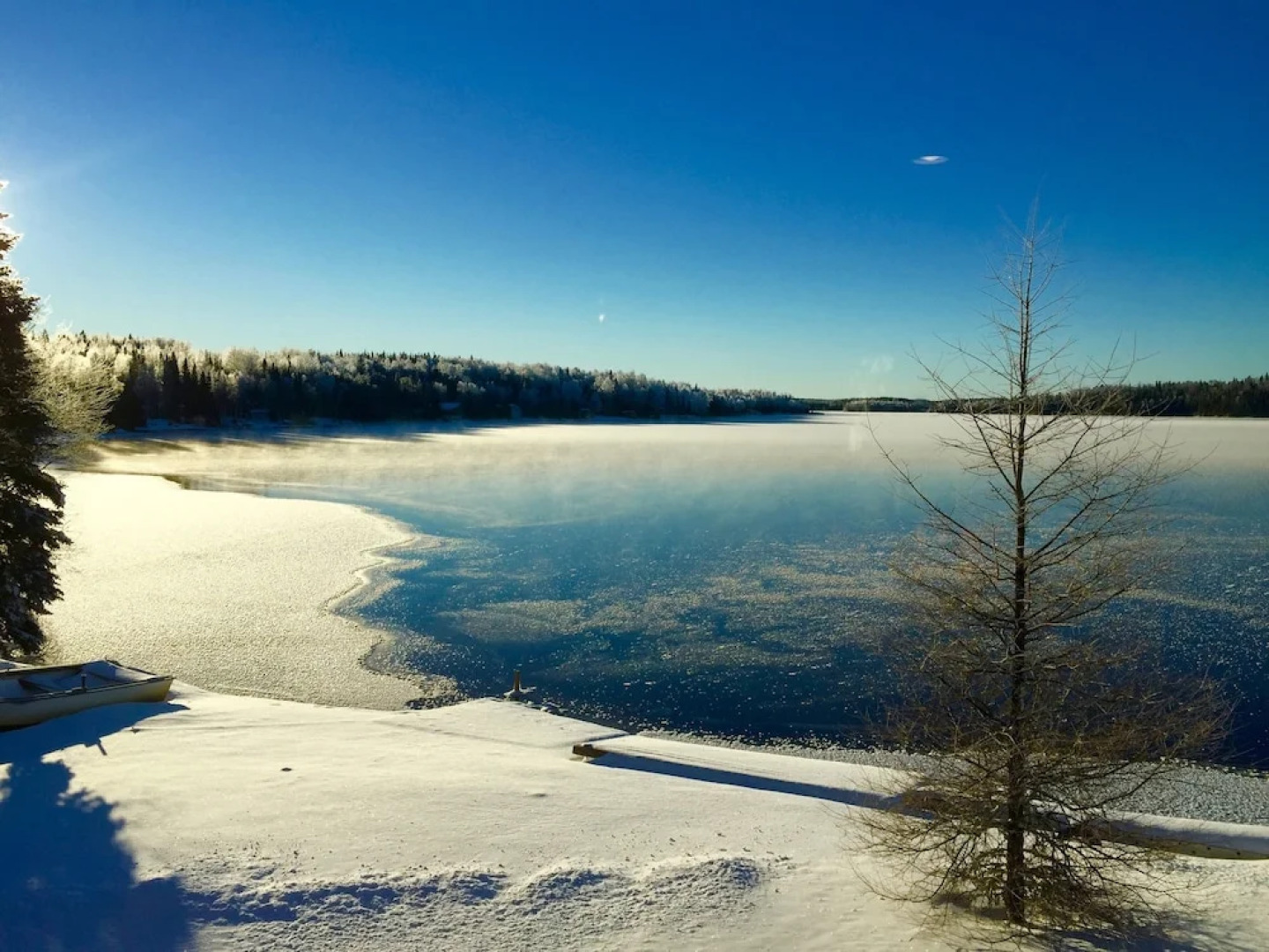 Spruce Forest Lakeside B&B