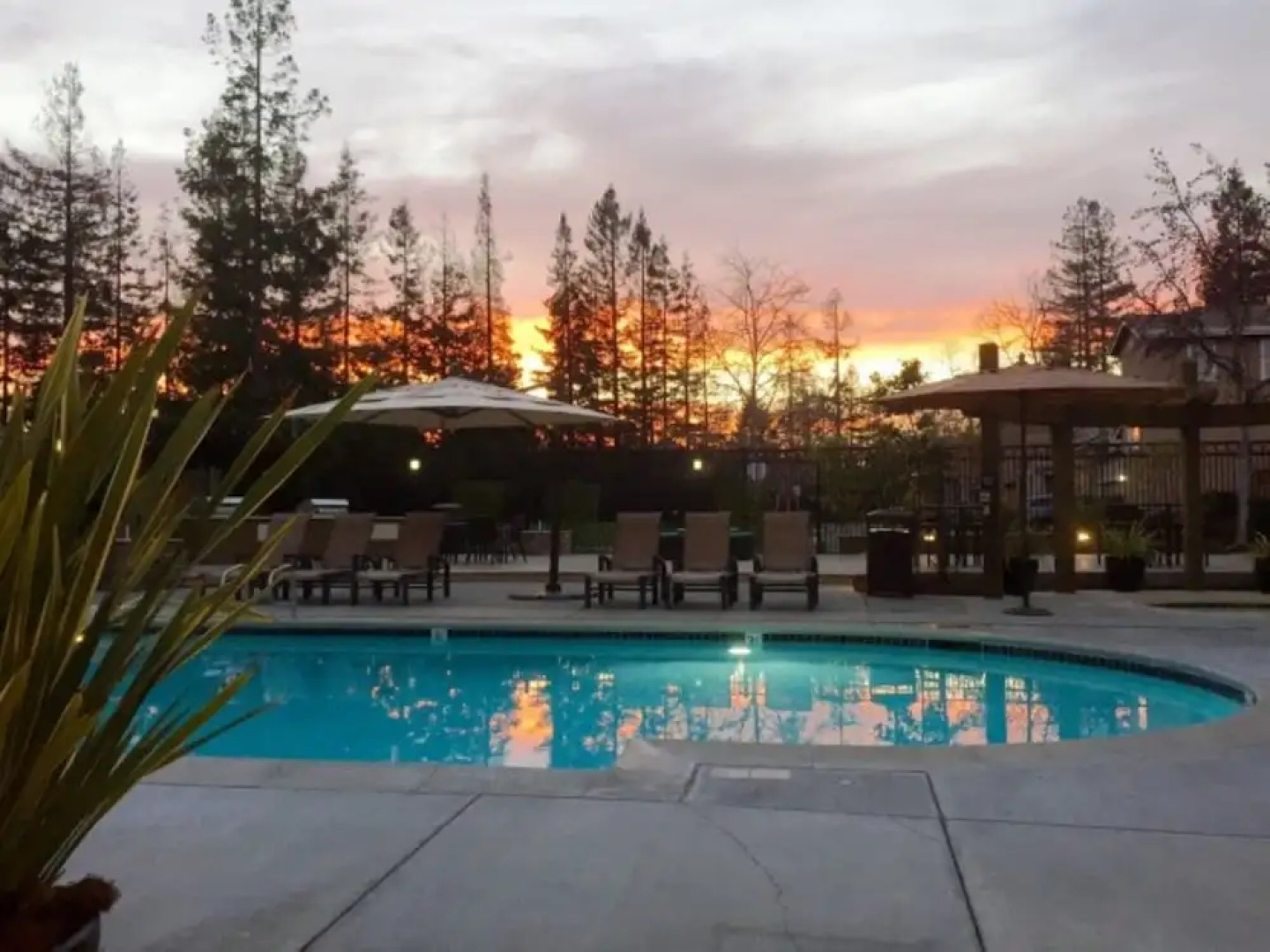 Global Luxury Suites in Cupertino