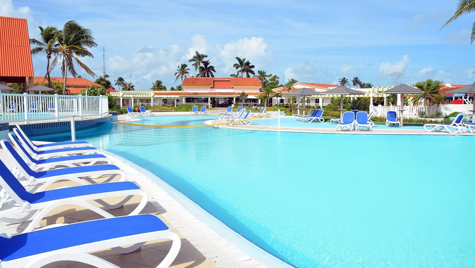 Starfish Cayo Guillermo