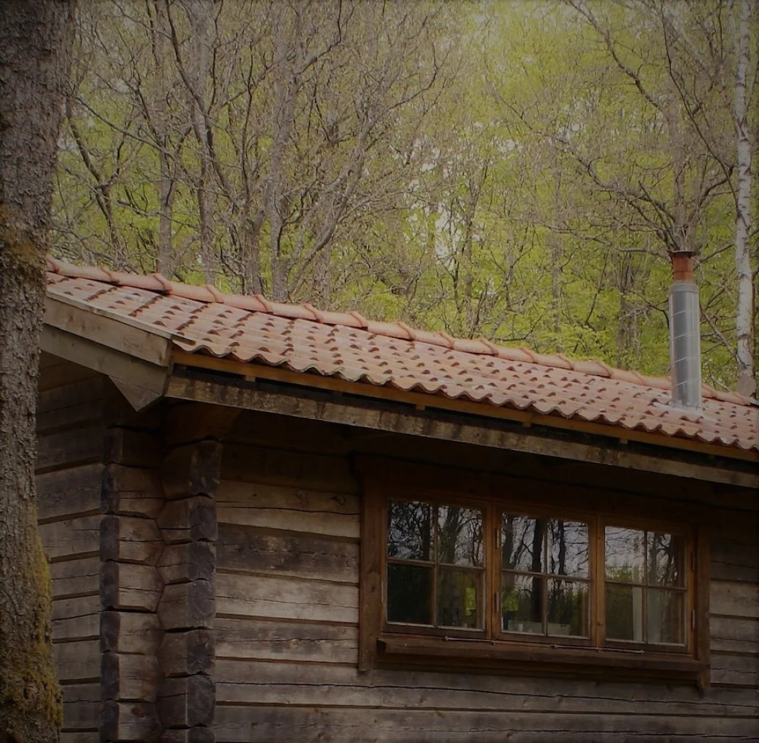 Bokebacken Forest Hotel