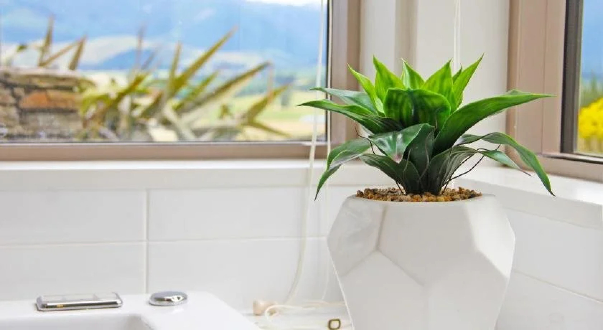 Amuri Estate Retreat & Olive Grove