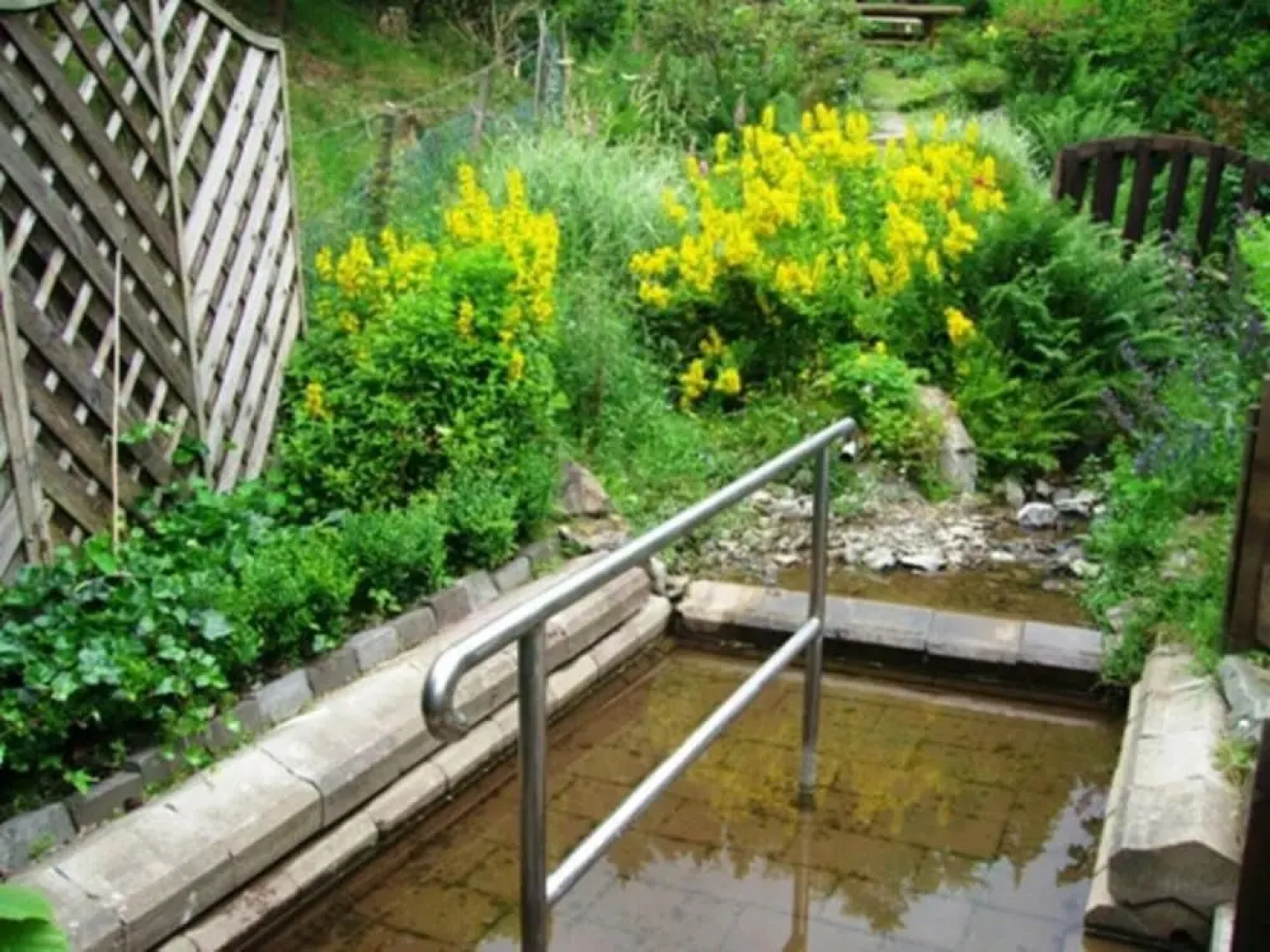 Am Wald Modern Retreat