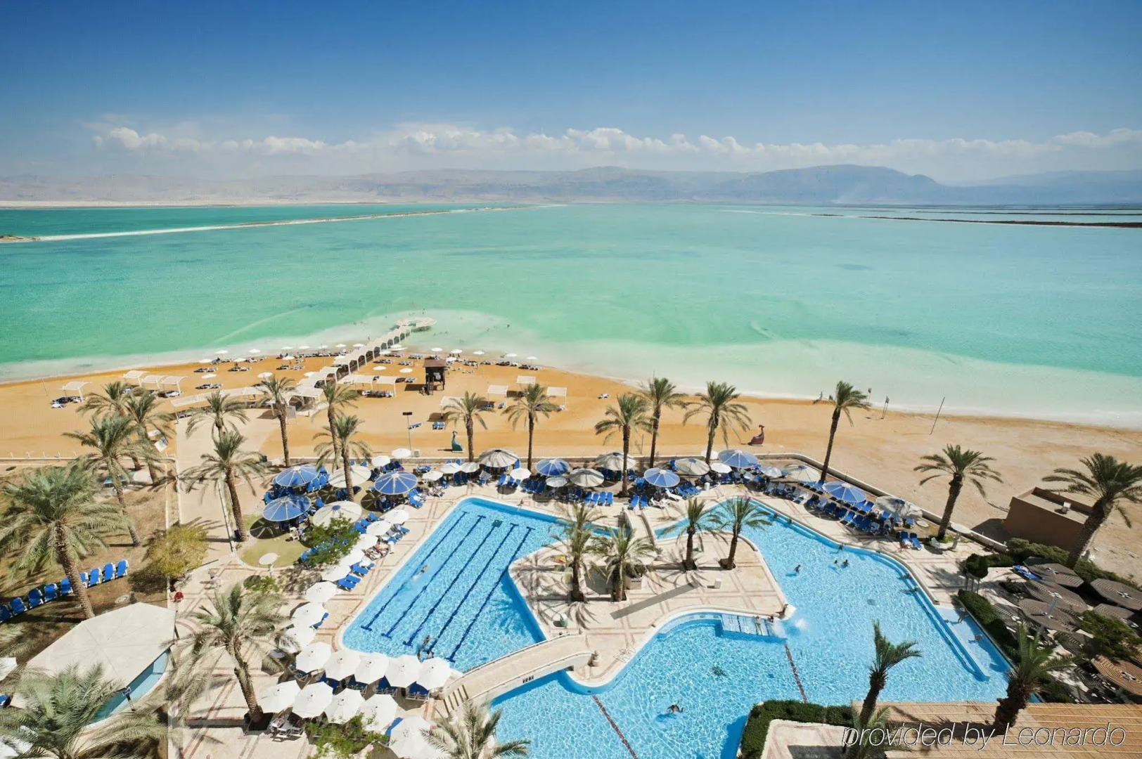 Vert Dead Sea