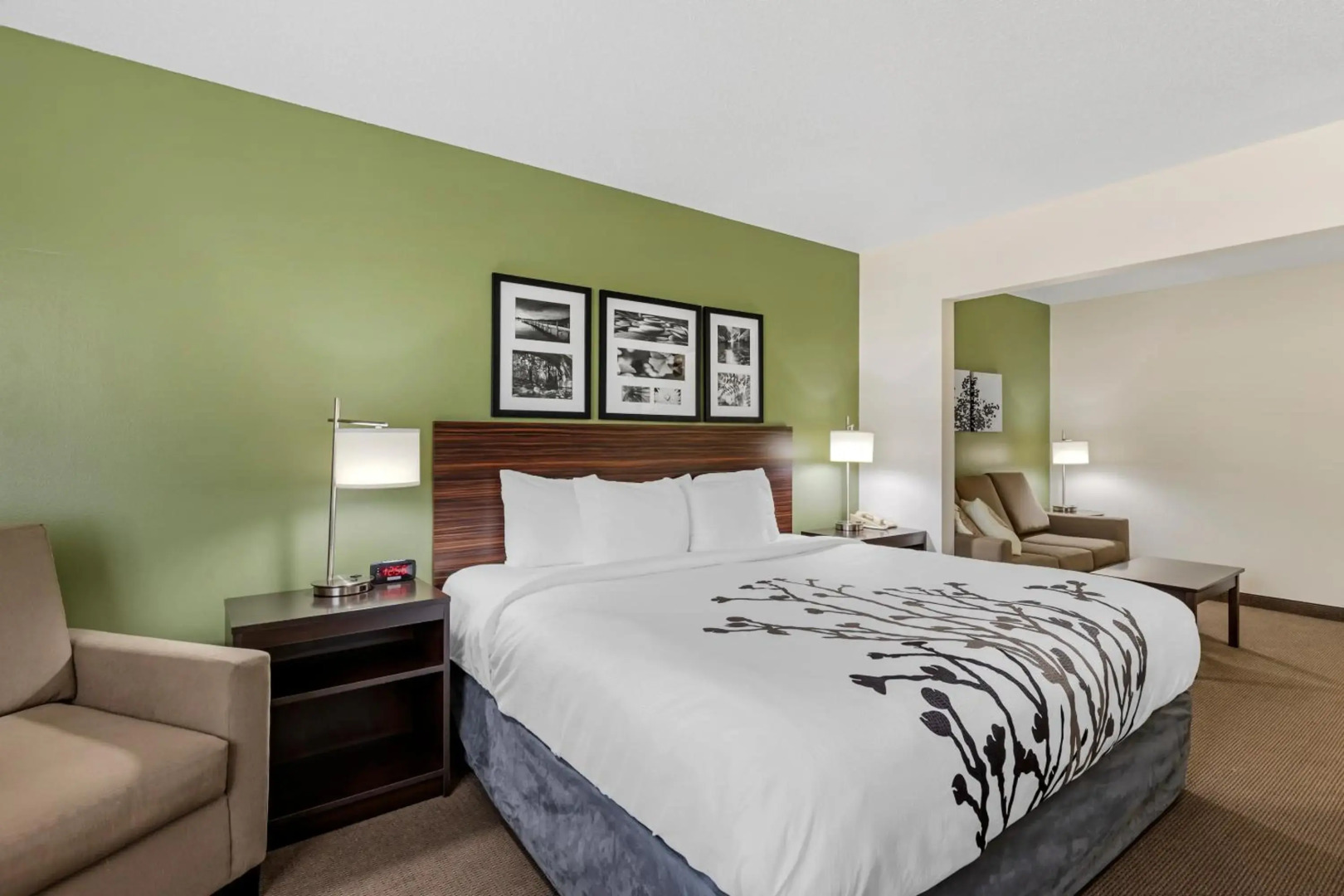 Sleep Inn & Suites Charles City