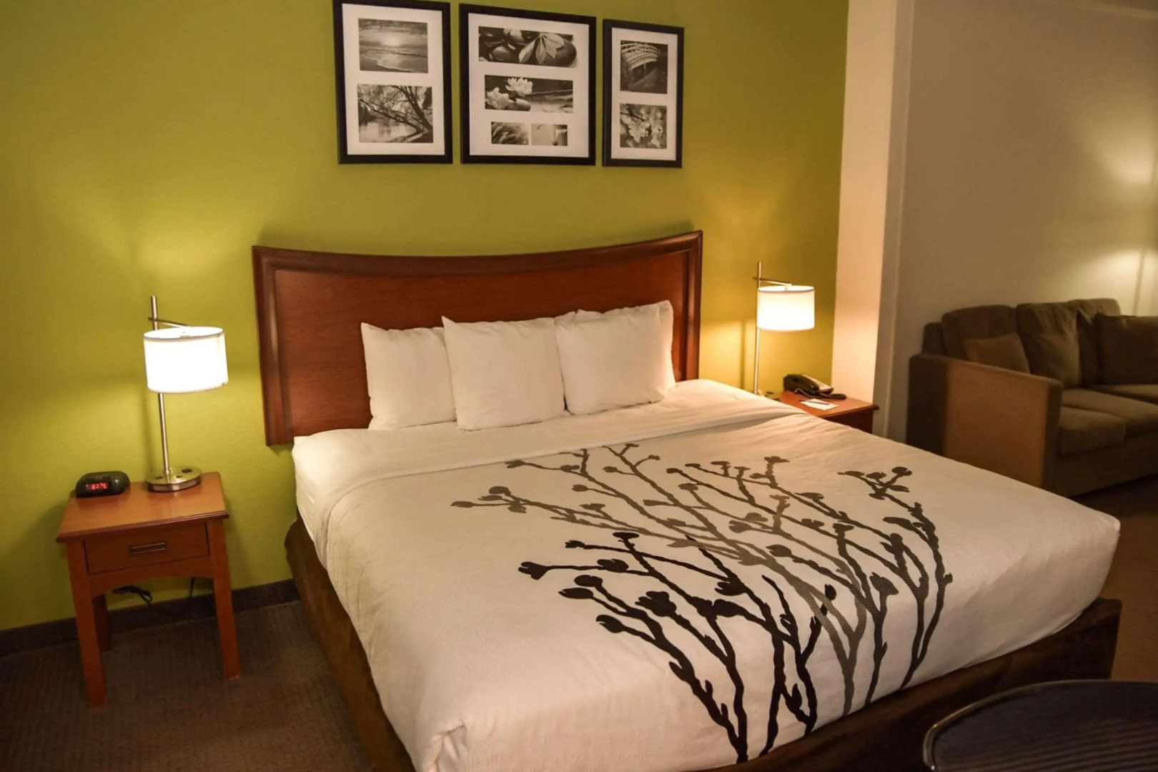 Sleep Inn & Suites Laurel near Fort Meade