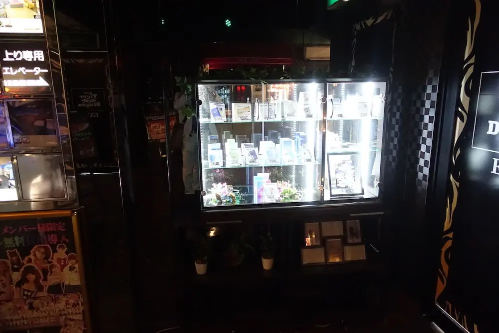 Hotel Tiger & Dragon (Adult Only)