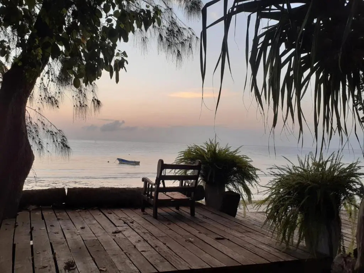 Gecko Nature Lodge & Swahili Divers