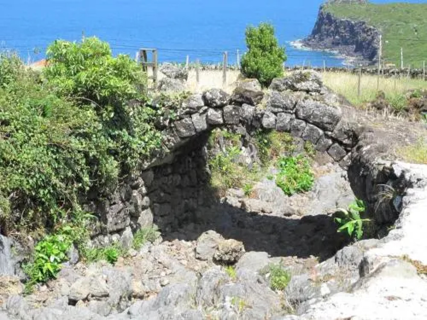 Vinea Lava Praia Campo Pico