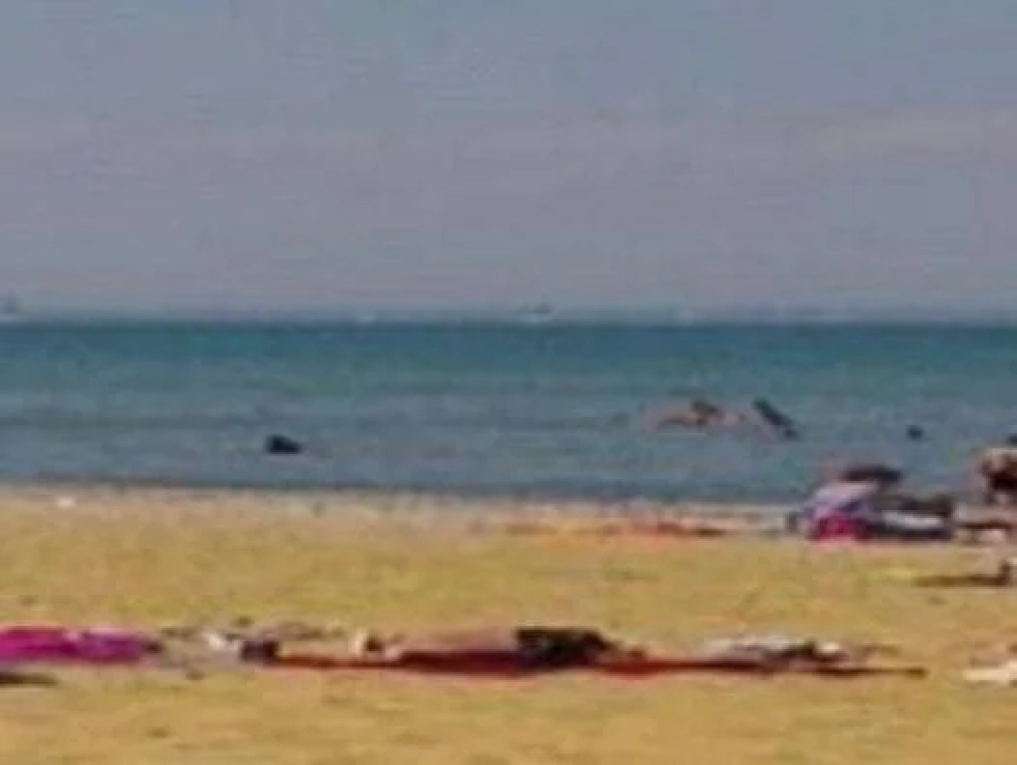 Homeleigh Guesthouse