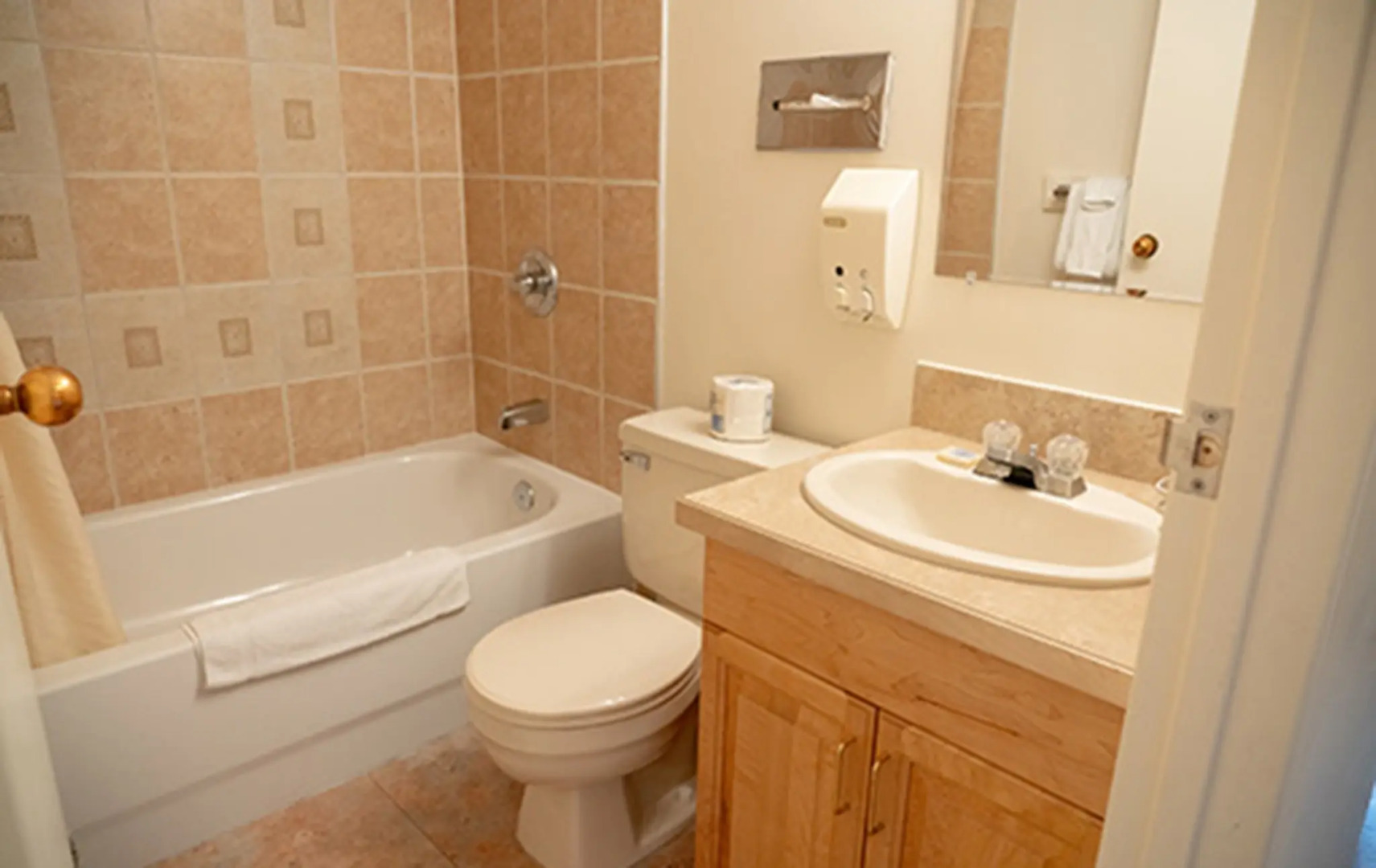 Rocky Mountain Ski Lodge