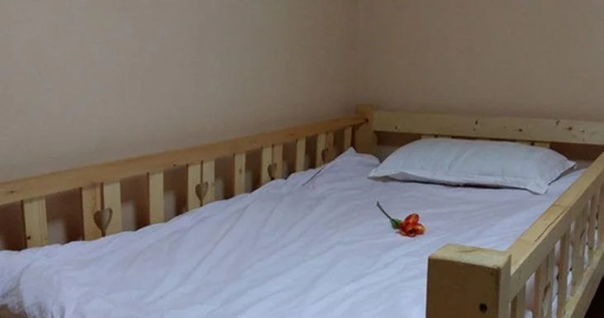 Wudangshan Tanluzhe Youth Hostel