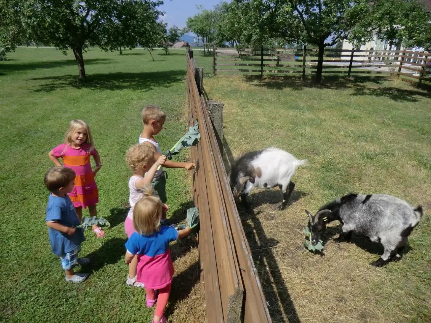 Appartement Landhaus Felsenkeller