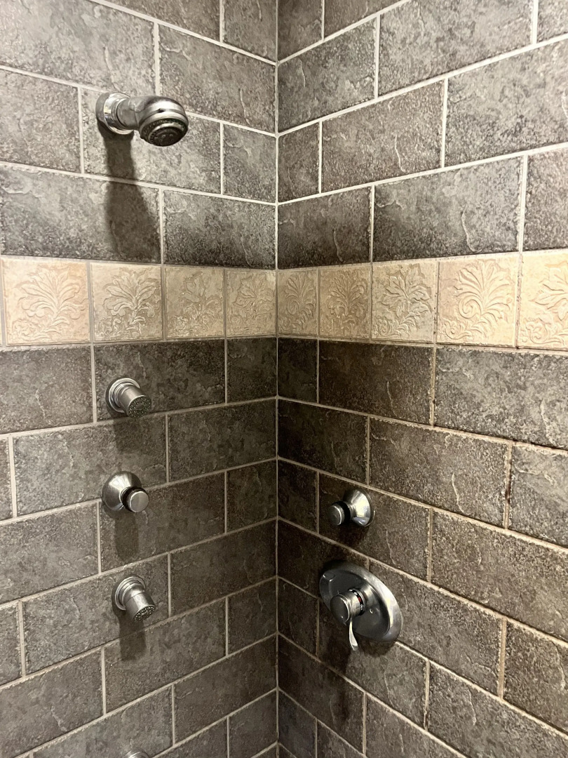 Nesselrod on the New