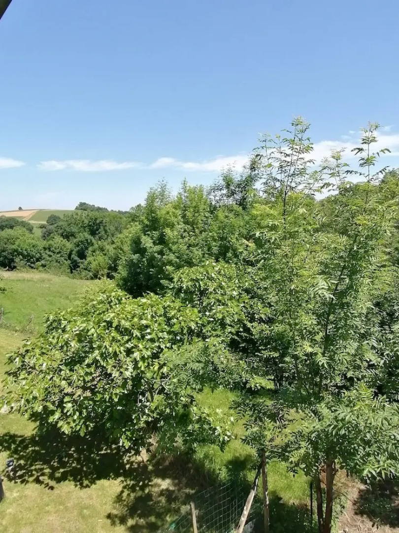 Gite De Lasbareilles