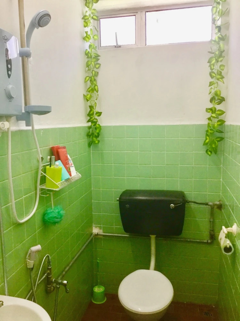 Sea Lion by the Beach