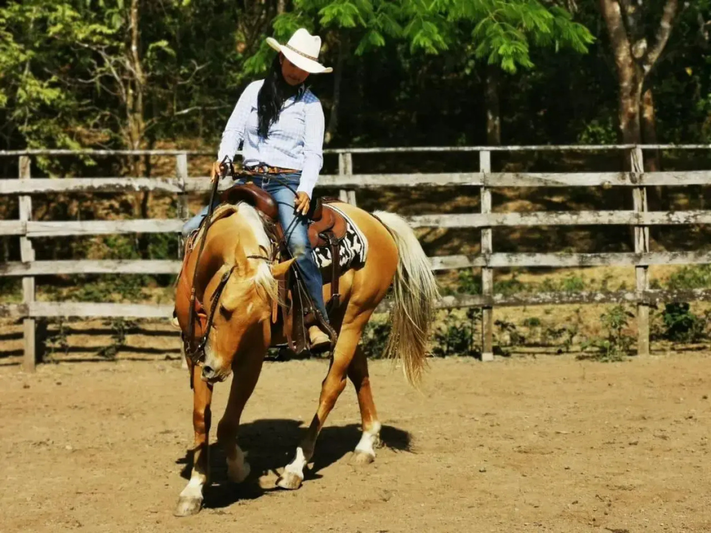 Hacienda Sassenberg