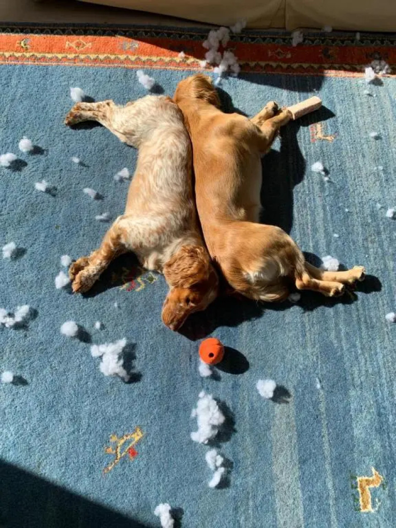 No12 Bed and Breakfast