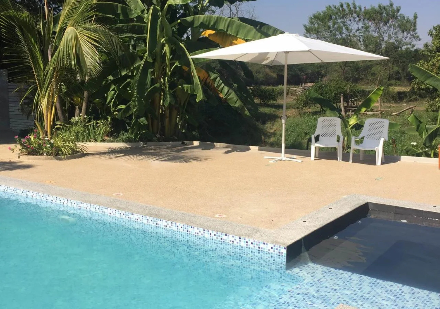 The Old Stay by Sister