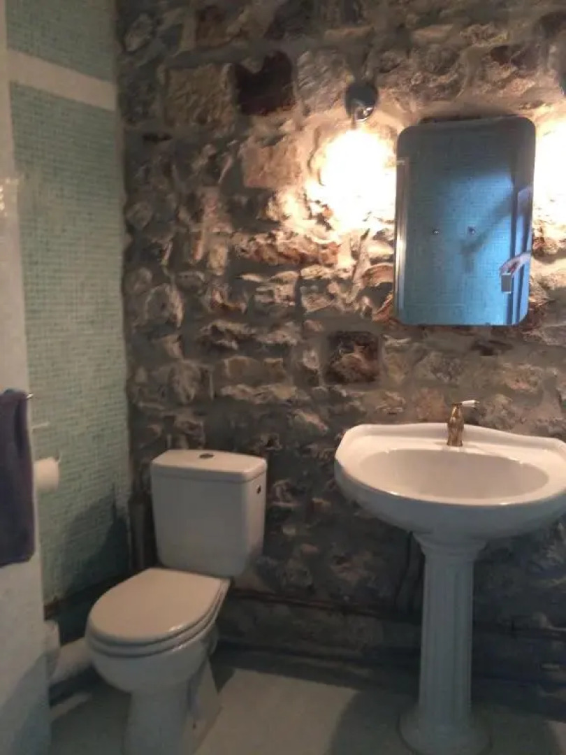 l'oiseau vert design