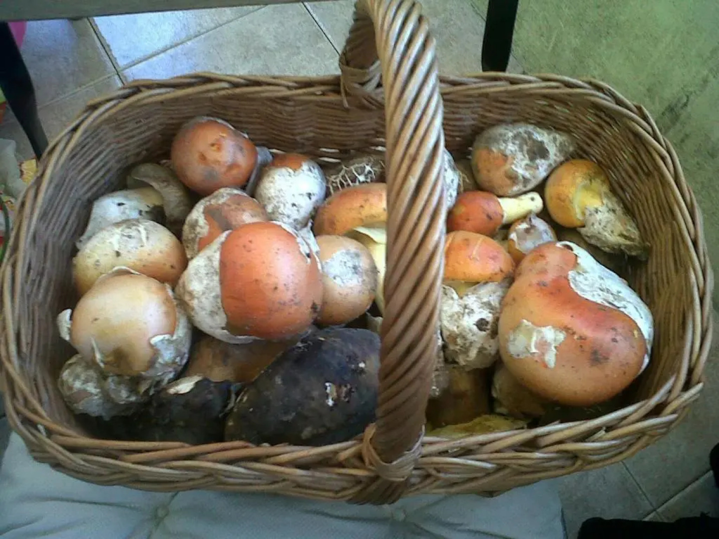 Apartamentos La Dama Azul